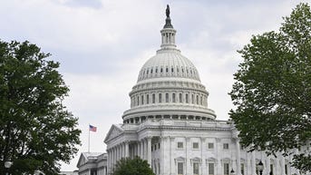 Senate Republicans might survive the blue thunderstorm. Uh, I think. - Fox News