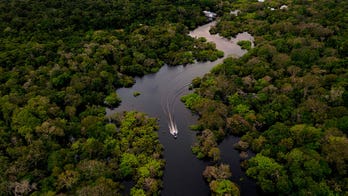 Brazil and France announce $1.1 billion investment plan for Amazon rainforest after years of friction