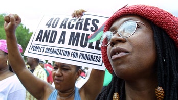 Illinois city slapped with lawsuit over 'unconstitutional' reparations plan: 'Using race as a proxy'