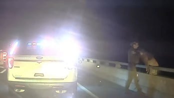 WATCH: Florida deputy saves K-9 unit from falling over bridge 'most likely to his death!!', sheriff says