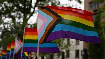 Gay journalist says LGBTQ movement has gone from civil rights success to 'madness'