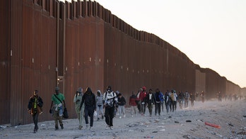 WATCH: Dozens of migrants breach border wall, take selfies on US side as mass illegal crossings continue