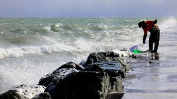 Warmer-than-usual climate cuts short wolf study near Lake Superior