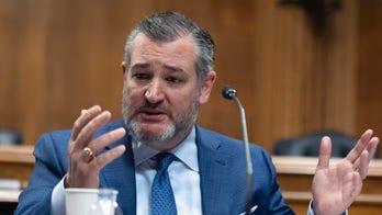 Ted Cruz urges White House to halt $1.25B in 'digital equity' funds