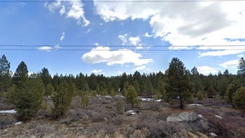 Israeli tech couple killed in California plane crash