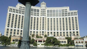 Rare bird's appearance interupts Las Vegas casino's fountain show