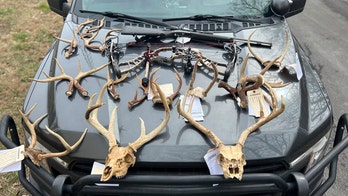 Tennessee man jailed for using spotlight to hunt deer, threatening landowner