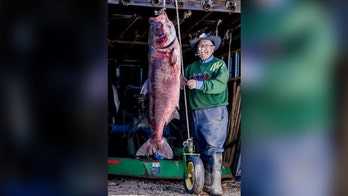 Woman in Oregon reels in record-breaking fish: 'Very strong