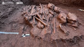 Archaeologists uncover hoard of ancient skeletons part of 'complex funerary system'