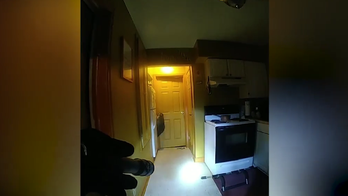 WATCH: Indianapolis Metro Police officers capture, remove large four-legged home invader