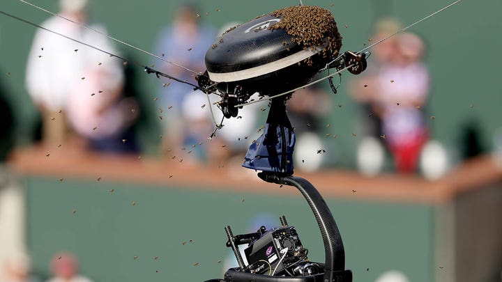 Fox News Flash top sports headlines for March 14