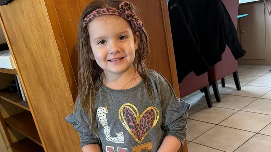 Brutal dog attack in Nebraska leaves 4-year-old girl severely injured, scalp nearly ripped off