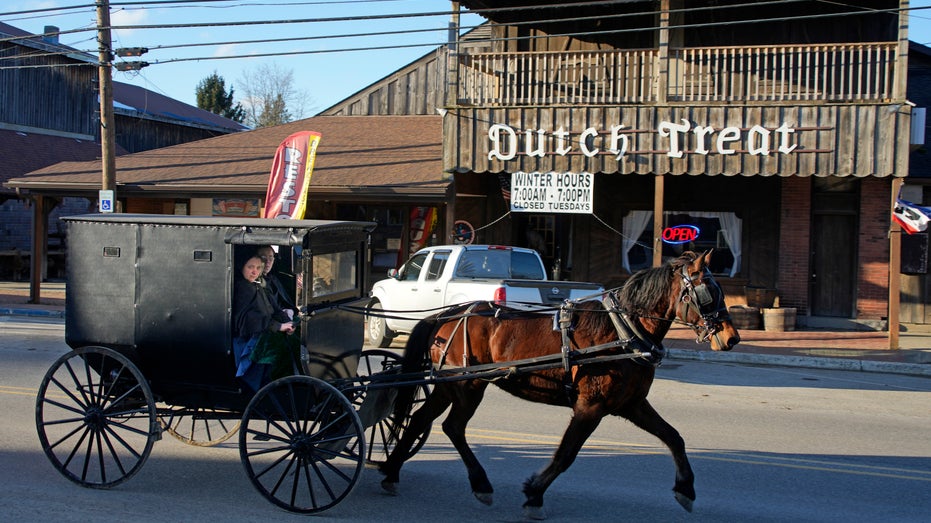 Pregnant Amish woman killed in Pennsylvania home had cuts to head, neck: report