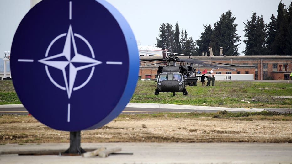 Albania refurbishes Soviet-era air base into regional hub of NATO air operations