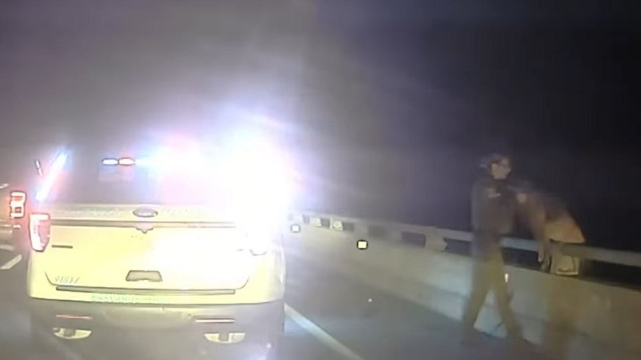 WATCH: Florida deputy saves K-9 unit from falling over bridge ‘most likely to his death!!’, sheriff says