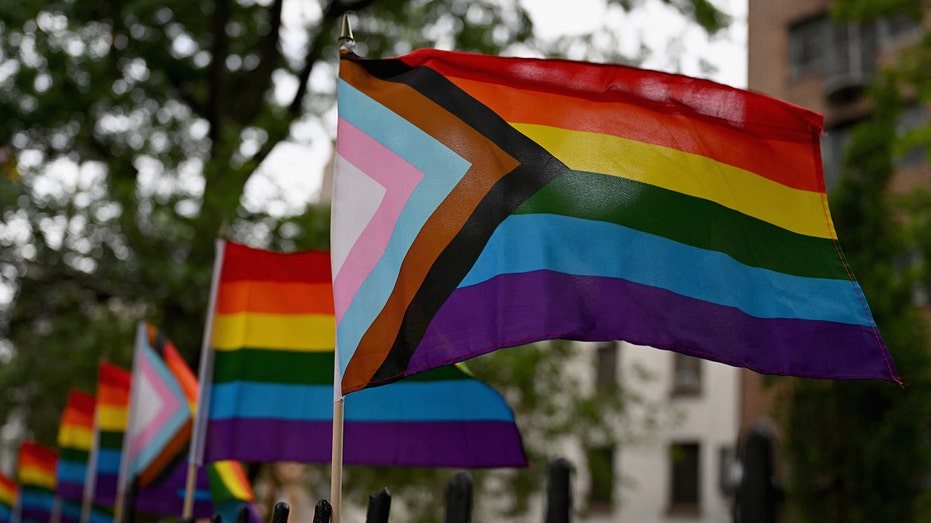 Gay journalist says LGBTQ movement has gone from civil rights success to 'madness'