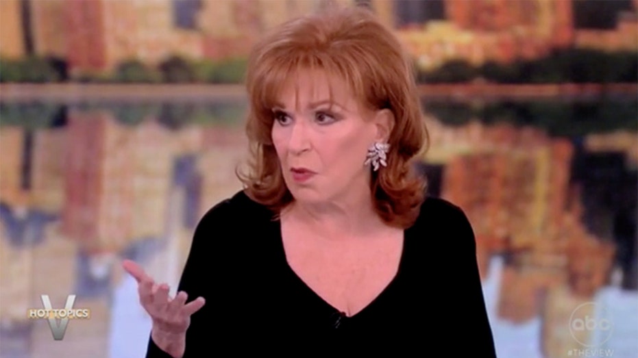 ‘The View’ co-hosts spar over Hur testimony, lament Dem trying to 'play it fair' at hearing