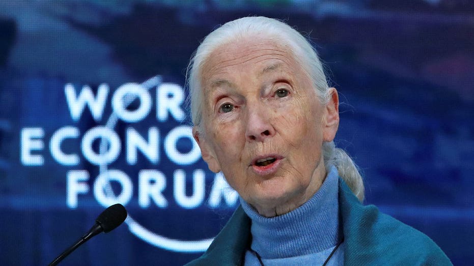 Jane Goodall to celebrate 90th birthday with talks on urgency of environmental action