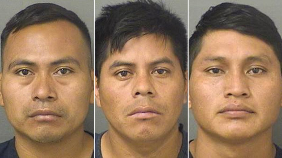 3 illegal immigrants from Guatemala accused of Florida kidnapping, sexual assault on woman abducted by park