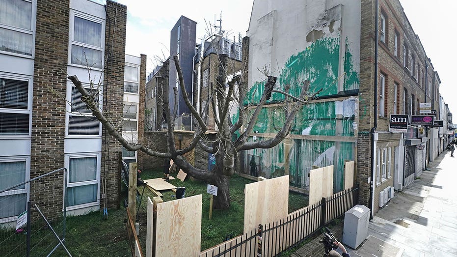 Banksy’s London tree mural covered in plastic, fenced off after apparent vandalism