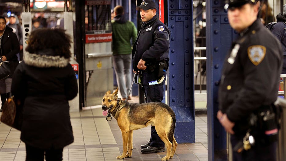 New York City to deploy 800 officers in effort to combat fare evasion in subway system