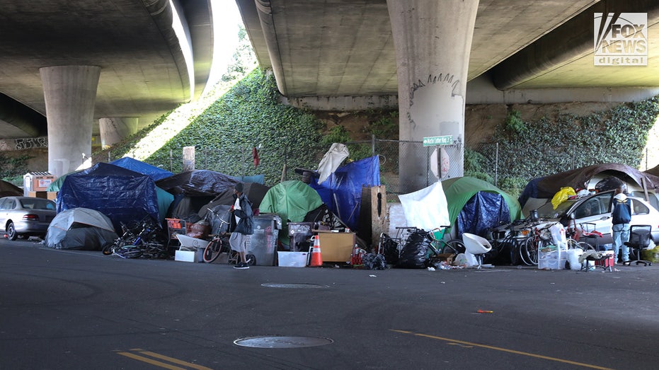 The left’s homeless plans wrecked our cities. Now help may come from an unexpected source