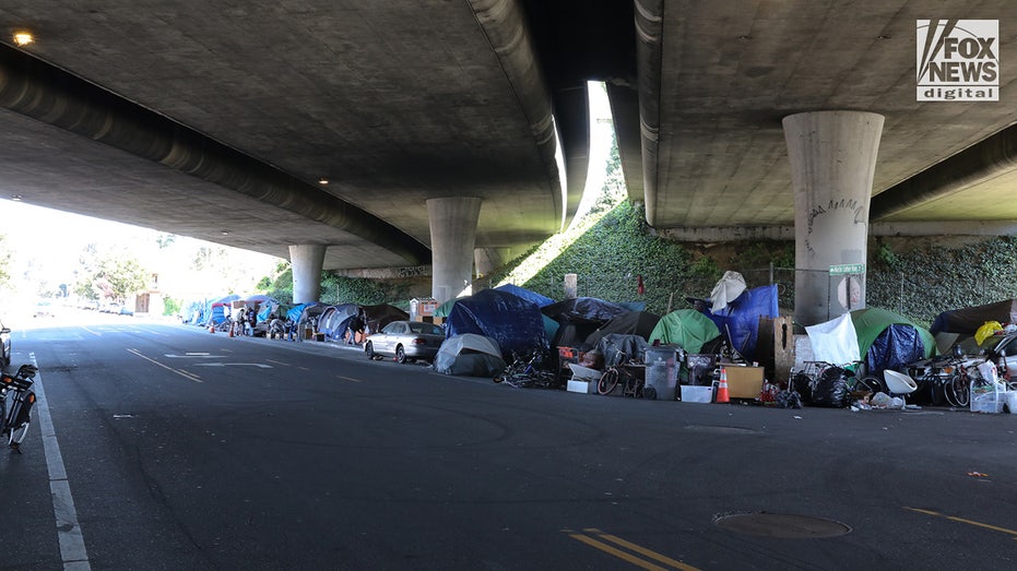 Supreme Court can fix the homeless crisis that the government caused