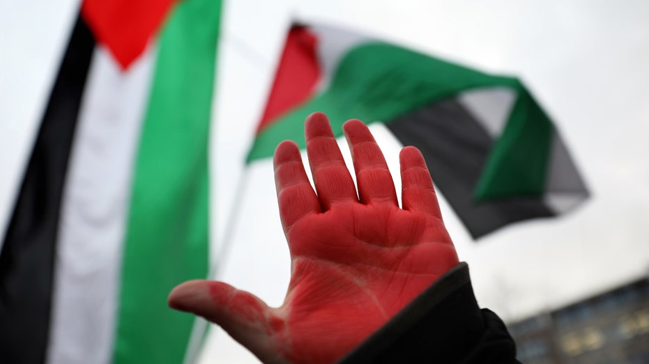 Pro-Palestinian protesters’ painted red hands a ‘symbol’ rooted in ‘craze to see blood’: expert