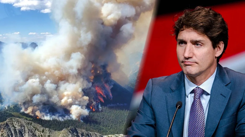 Trudeau’s bungled wildfire response made Canada most polluted country on continent: critics