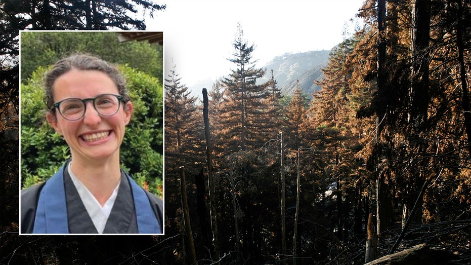 Body of missing 'experienced' California hiker found at base of waterfall after days of search: police