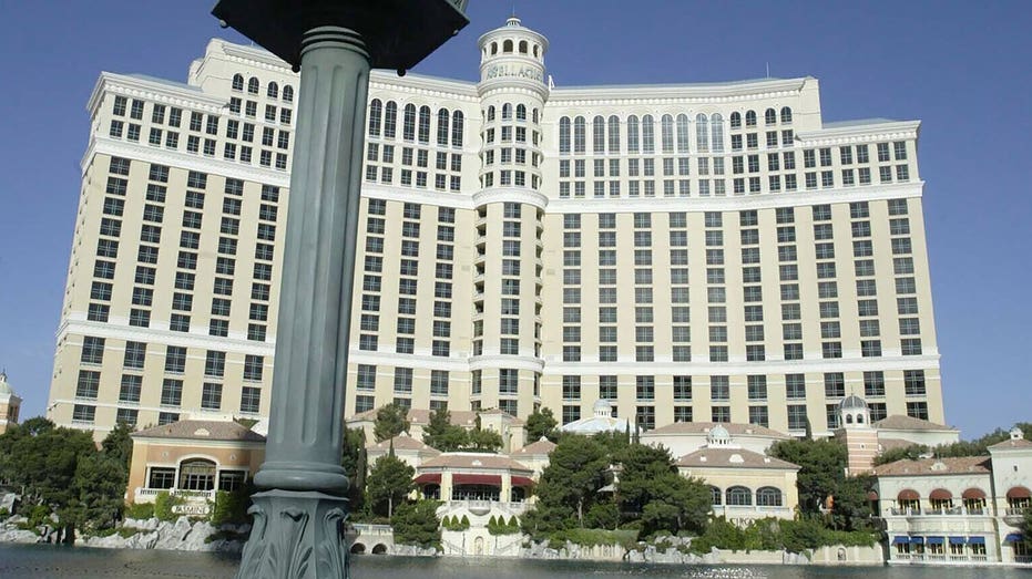 Rare bird's appearance interupts Las Vegas casino's fountain show