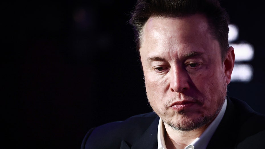 Elon Musk hits back at press for ‘anti-immigrant’ label: ‘Nothing could be further from the truth’