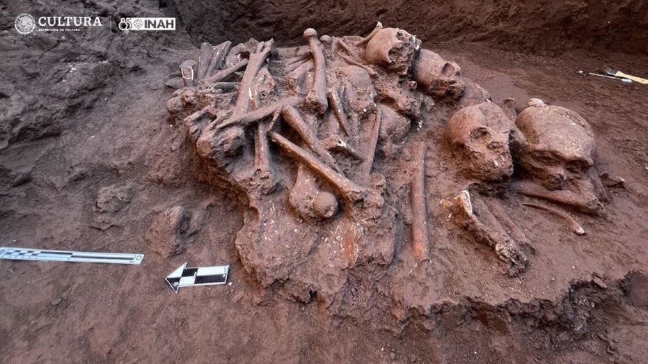 Archaeologists uncover hoard of ancient skeletons part of 'complex funerary system'