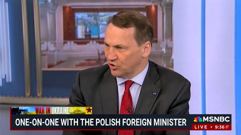 Polish foreign minister tells MSNBC host Trump 'is right' to call for NATO to pay more for its own defense