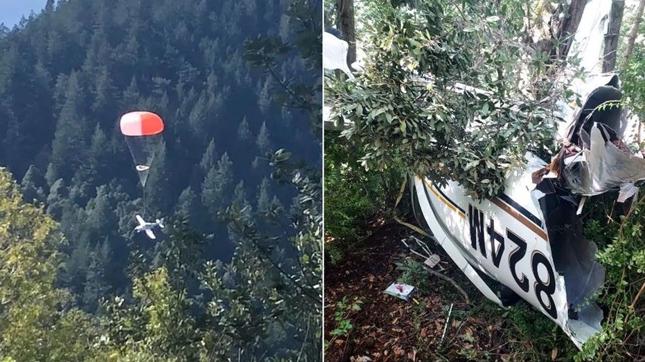 California family survives small plane crash after aircraft deploys parachute