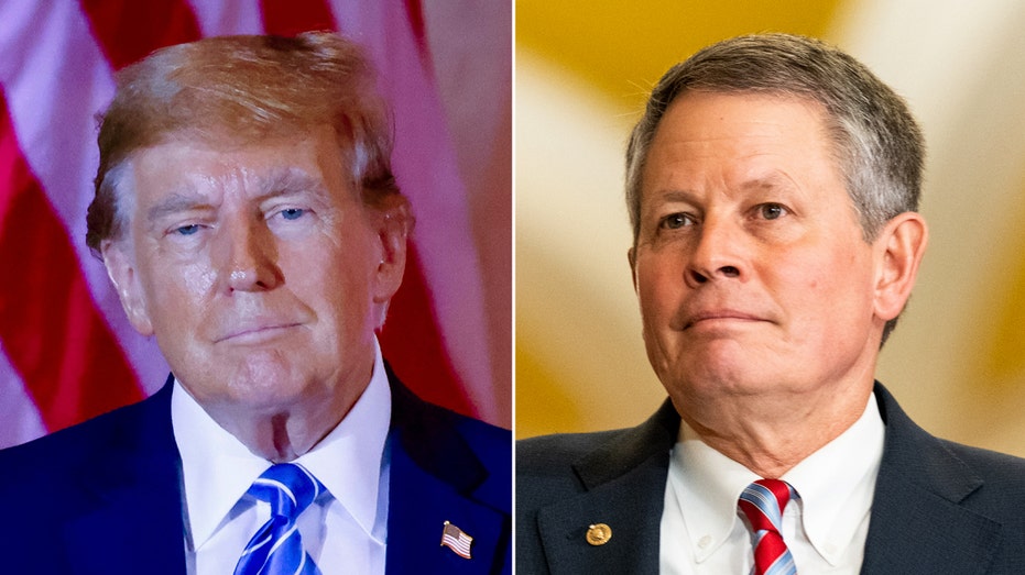 NRSC, Steve Daines back Trump in SCOTUS amicus brief, warn of ‘slippery slope’ for future presidents