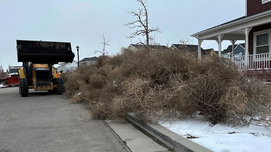 Massive tumbleweed wave rolls across Utah