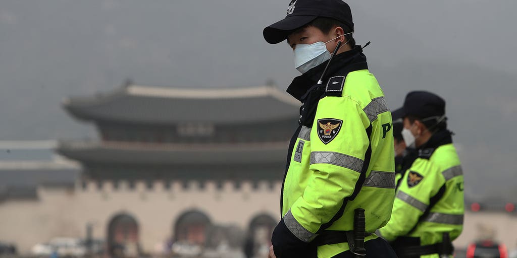 South Korean man receives jail time for killing 76 cats - Vimarsana News
