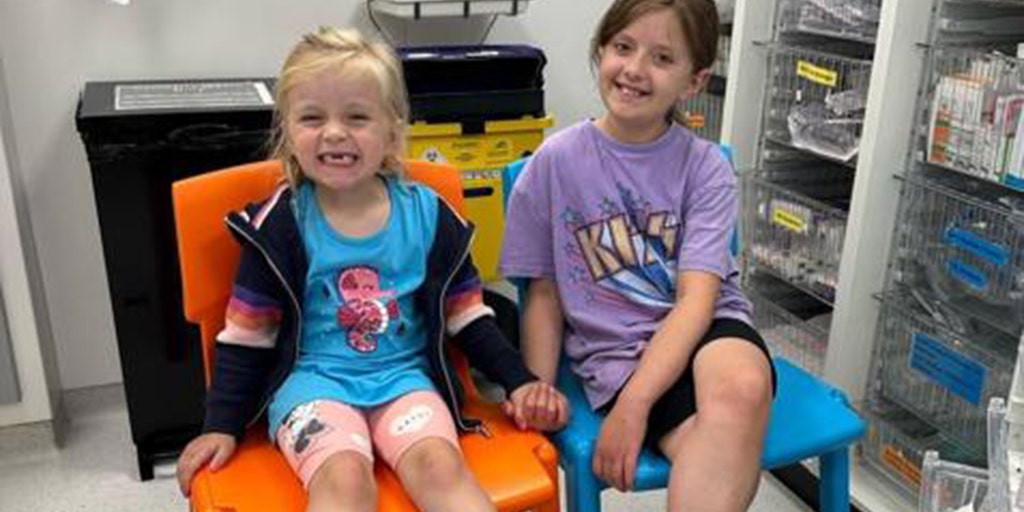 UK girl survives cancer thanks to little sister's lifesaving donation - Vimarsana News