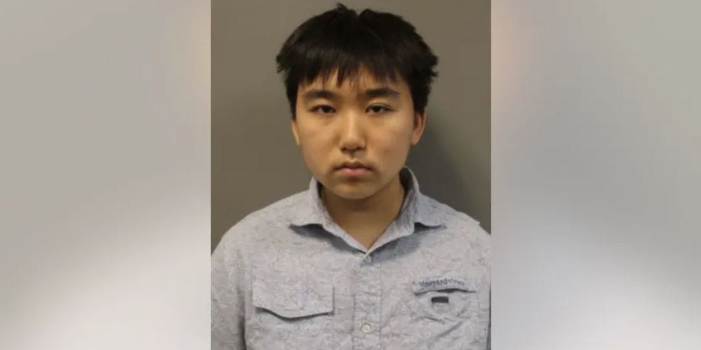 Mary;and teen arrested after threats mass shooting at school - Vimarsana News