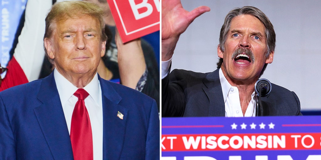 Trump tosses support behind Republican businessman looking to flip Wisconsin Senate seat: 'Go out and win' - Vimarsana News