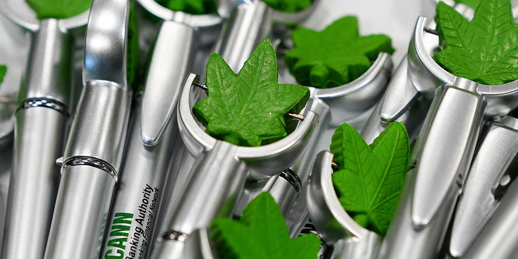 Pot producers are on the rise as Florida voters decide on the fate of the use of recreational marijuana - Vimarsana News
