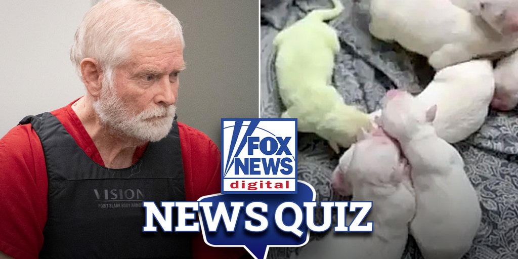 News Quiz: April 26, 2024 - Vimarsana News