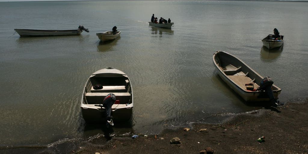 16-year-old boy killed by crocodile after boat breaks down: police - Vimarsana News