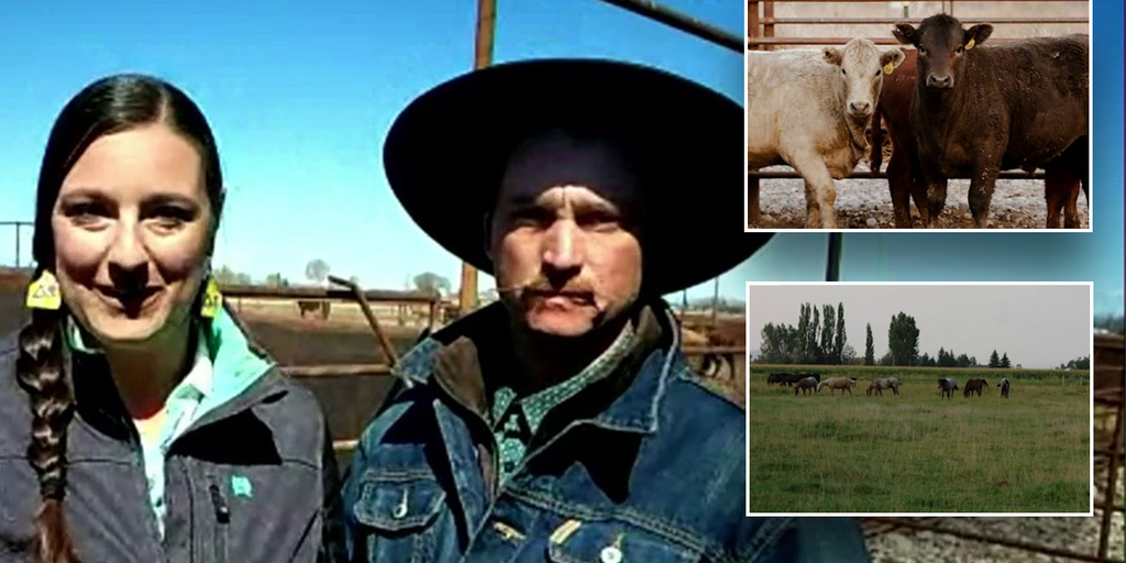 First generation ranchers struggle to stay afloat under weight of inflation: 'It's very challenging' - Vimarsana News