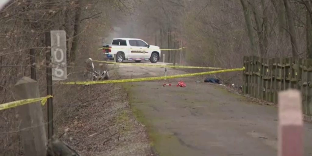 Two people enjoying stroll in Indiana injured after small plane crashes to the ground: 'That's a bad day' - Vimarsana News