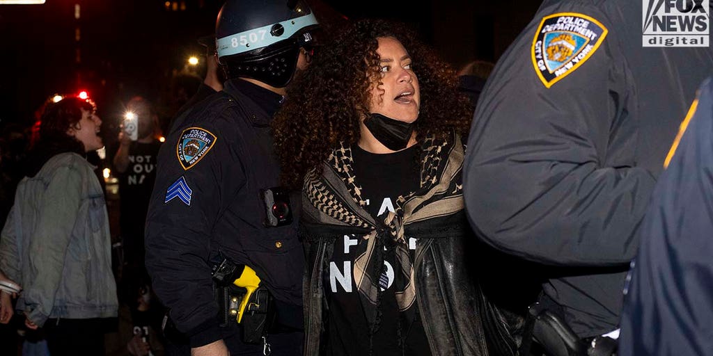 Demonstrators protest arrested near Sen. Chuck Schumer's New York home - Vimarsana News
