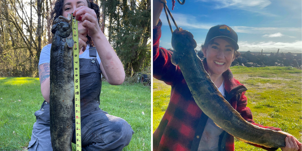 Woman in Oregon reels in record-breaking fish: 'Very strong' - Vimarsana News