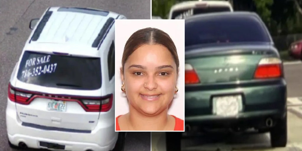 Deadly Florida carjacking: Person of interest arrested, another on the loose as plot thickens - Vimarsana News