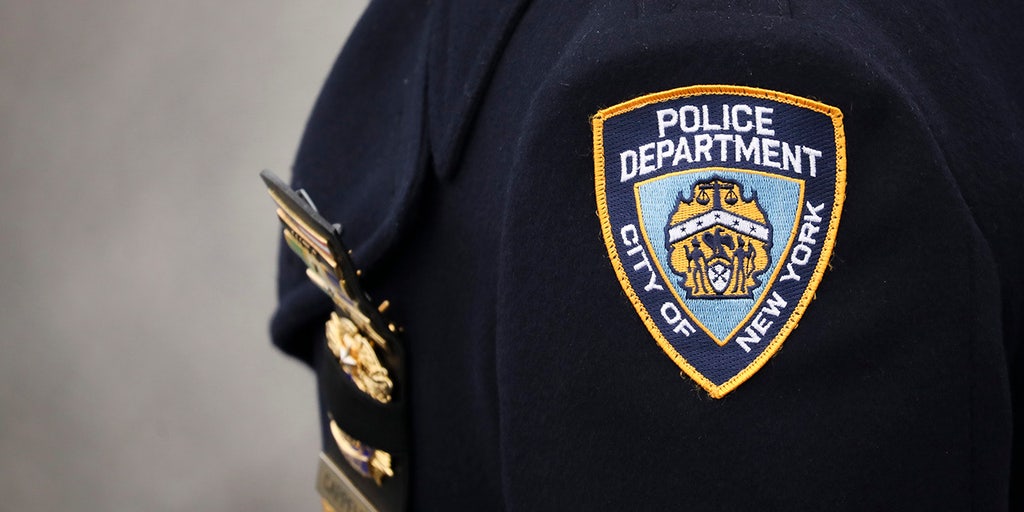 More than 50-year-old New York City cold case victim identified after DNA matched with 9/11 victim - Vimarsana News